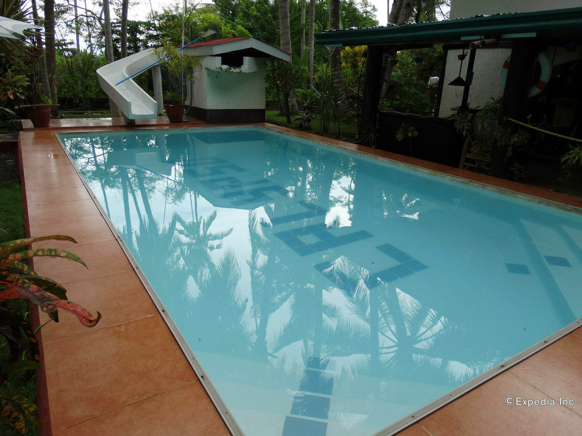 Calypso Resort Panglao Exterior photo