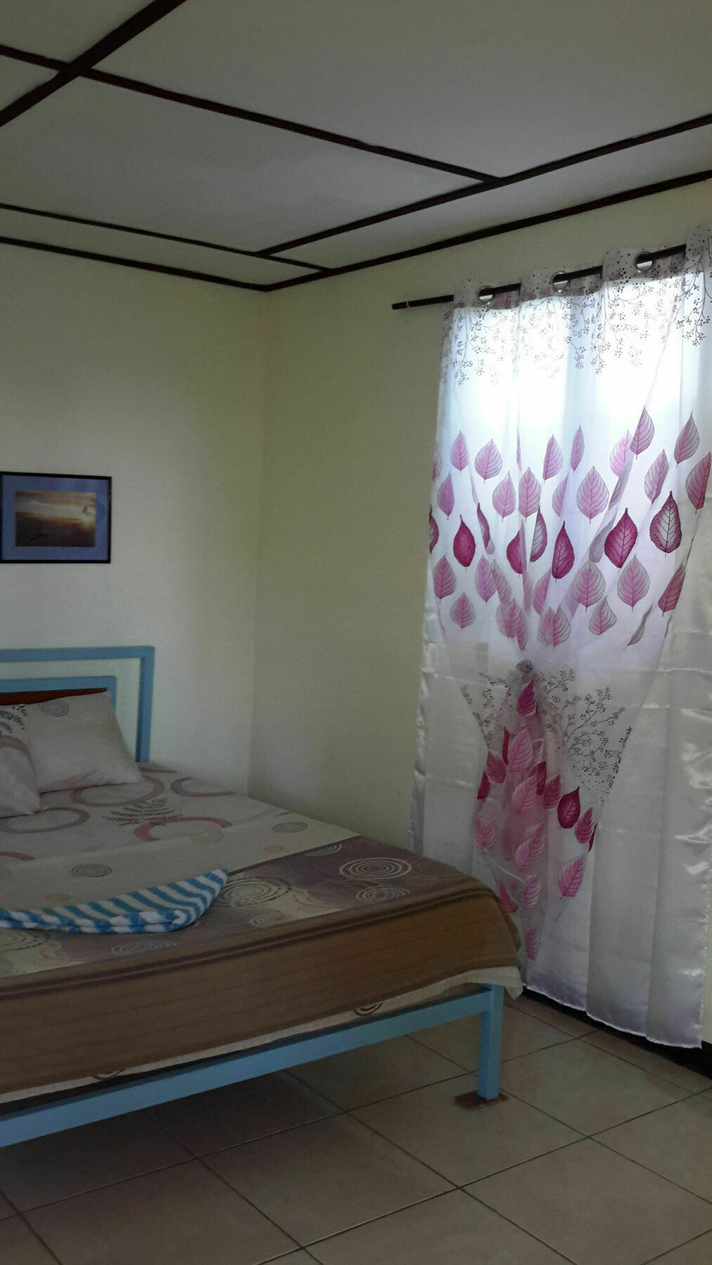 Calypso Resort Panglao Exterior photo